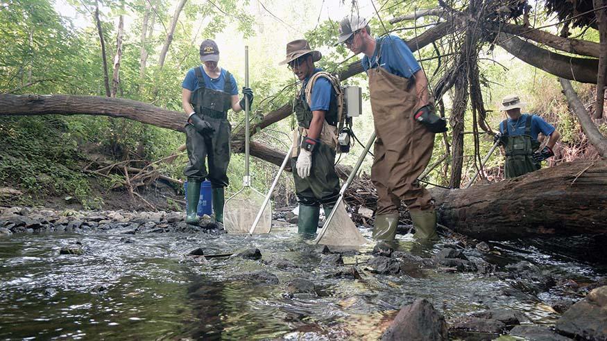 Augustana students assess the fish population in a local stream. 