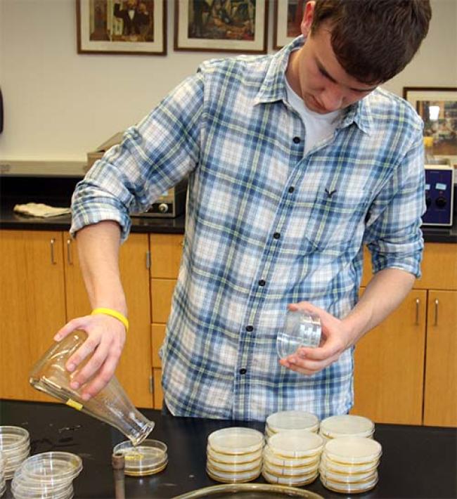 A student worker in the biology lab.