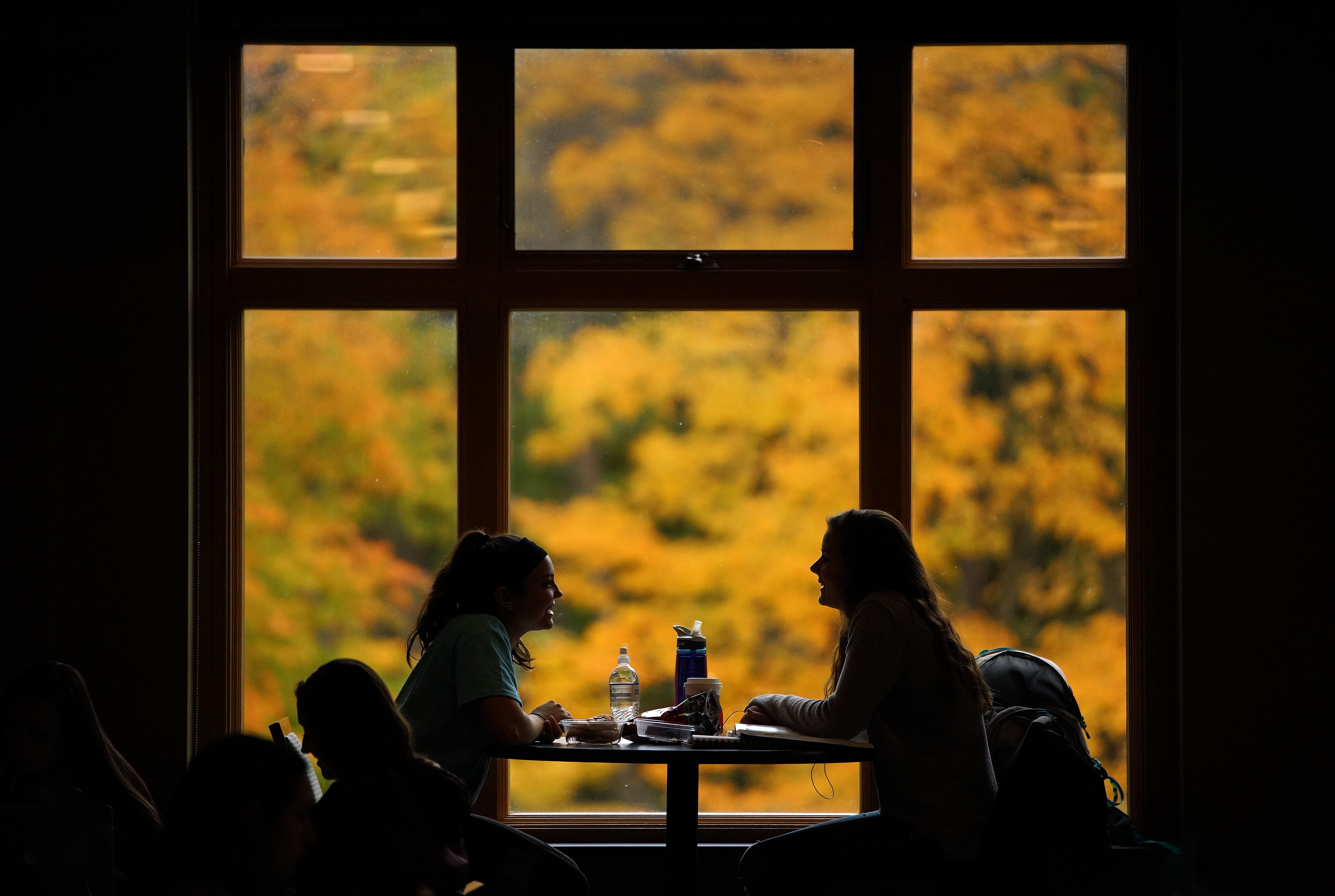 Gerber Dining Center fall day