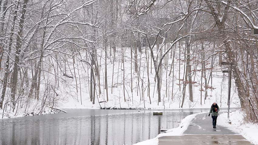 walking the slough path in winter