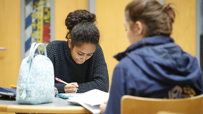 students study together