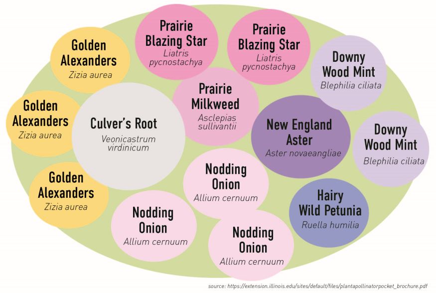 University of Illinois pollinator pocket example