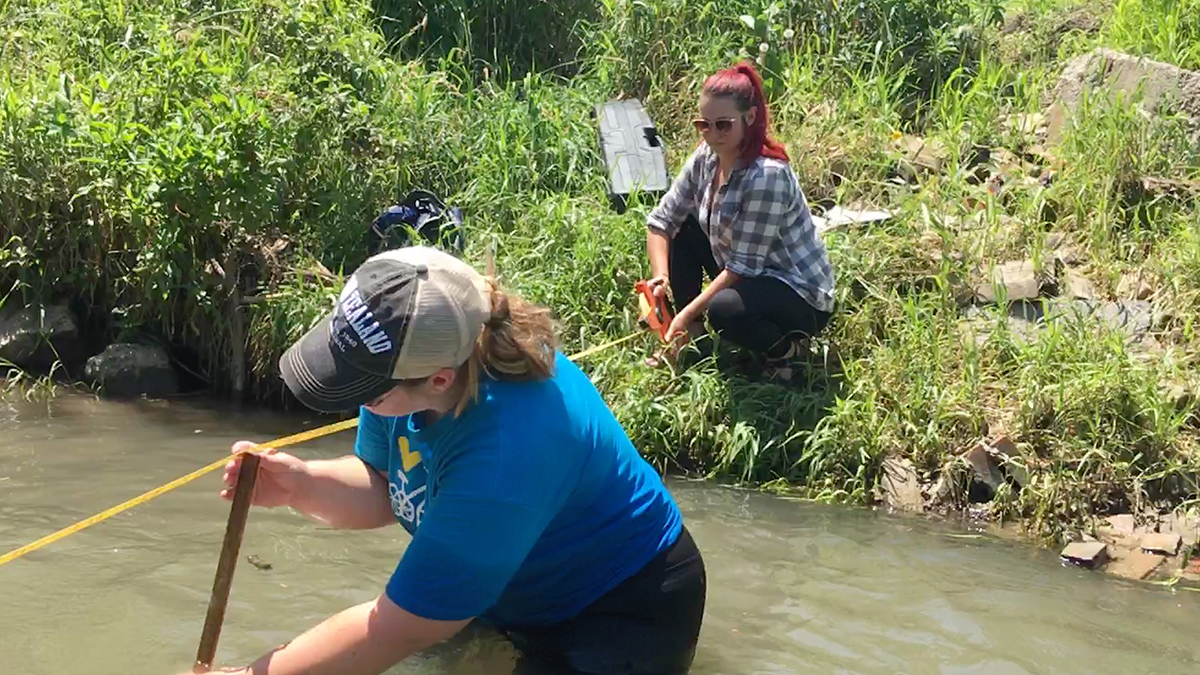 Environmental studies internship