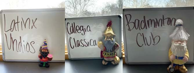 sga gnome contest