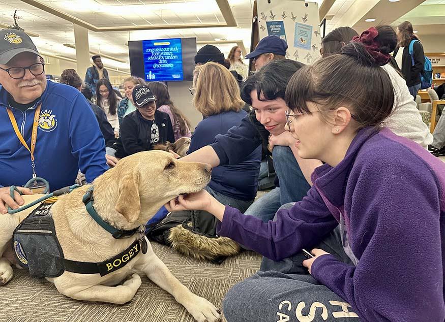 therapy dogs before finals