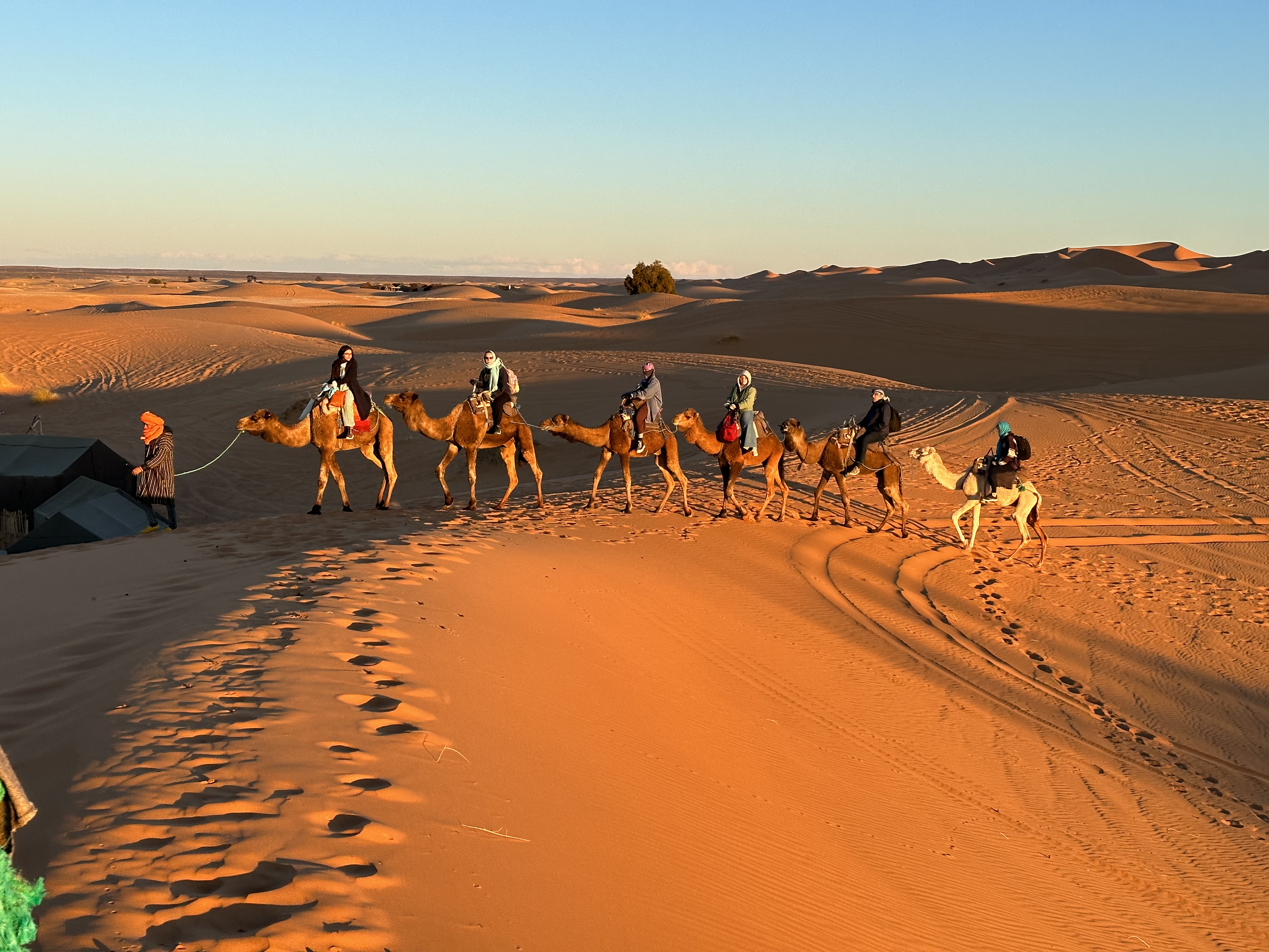 Riding camels in the Sahara