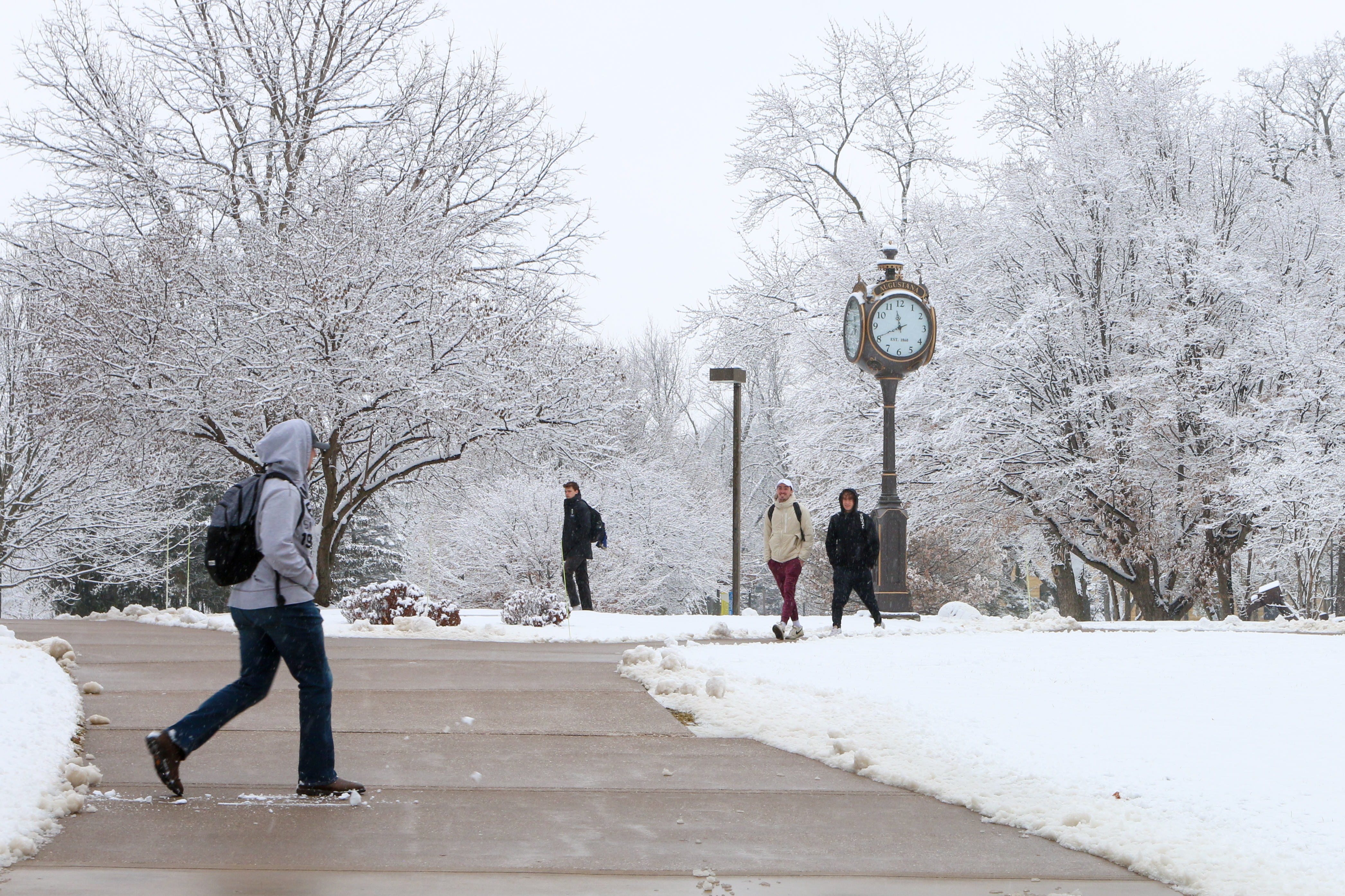 snowy campus