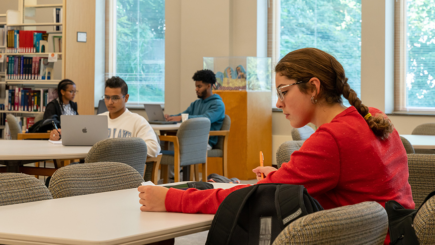 Students studying in a library