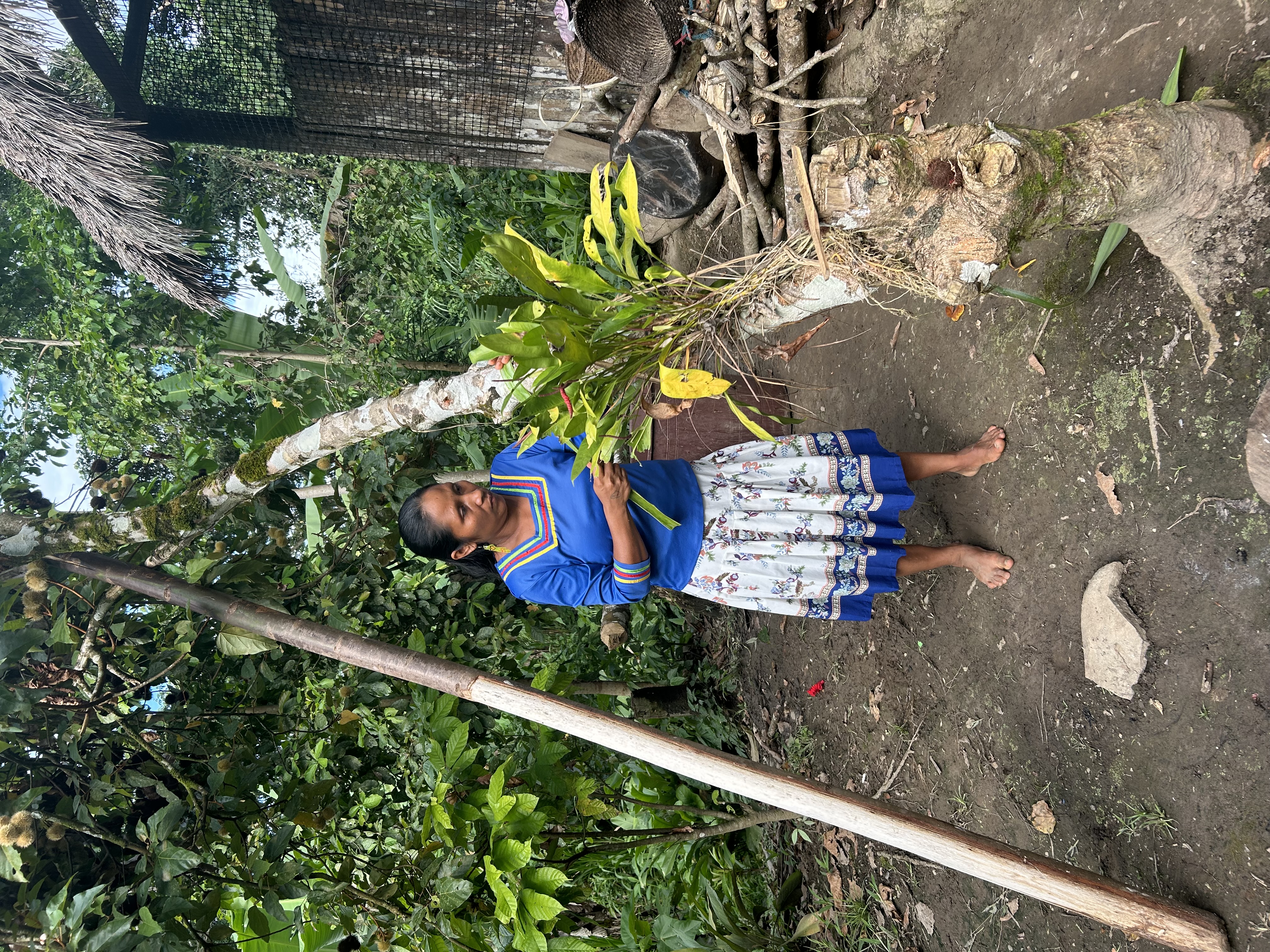 colorful traditions and vast knowledge of the Indigenous communities of the Amazon