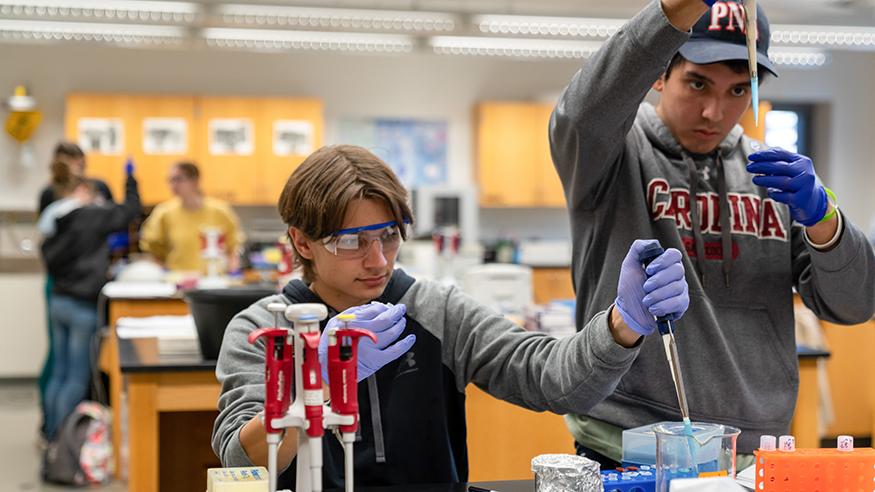 Two students working in a laboratory classroom setting