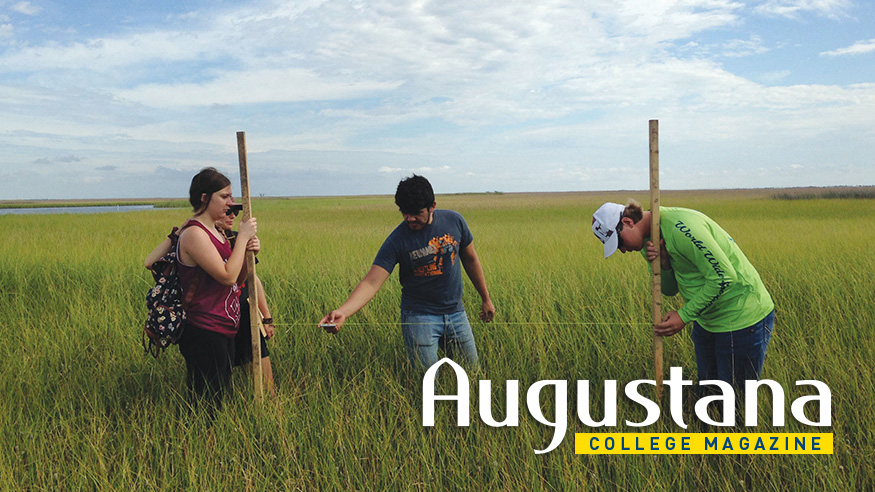 Students collecting data along the Louisiana coast
