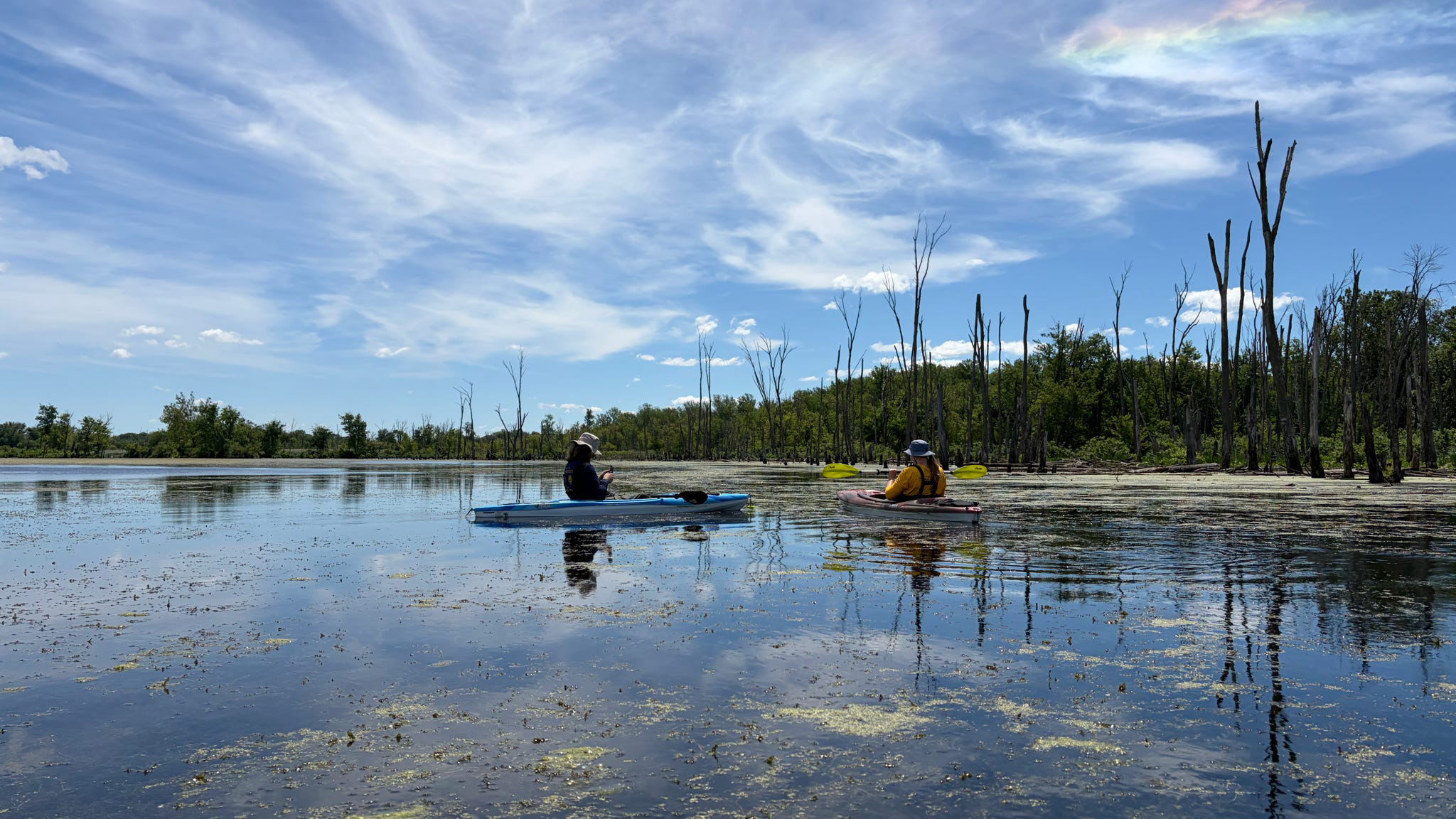 two students on kayaks with a blue sky