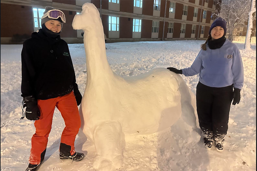 Snow dinosaur