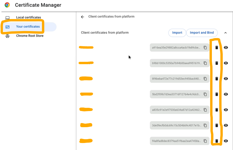 Step 9: Click on "Your certificates" on the sidebar and delete all of the Client Certificates with your (the user's) name.