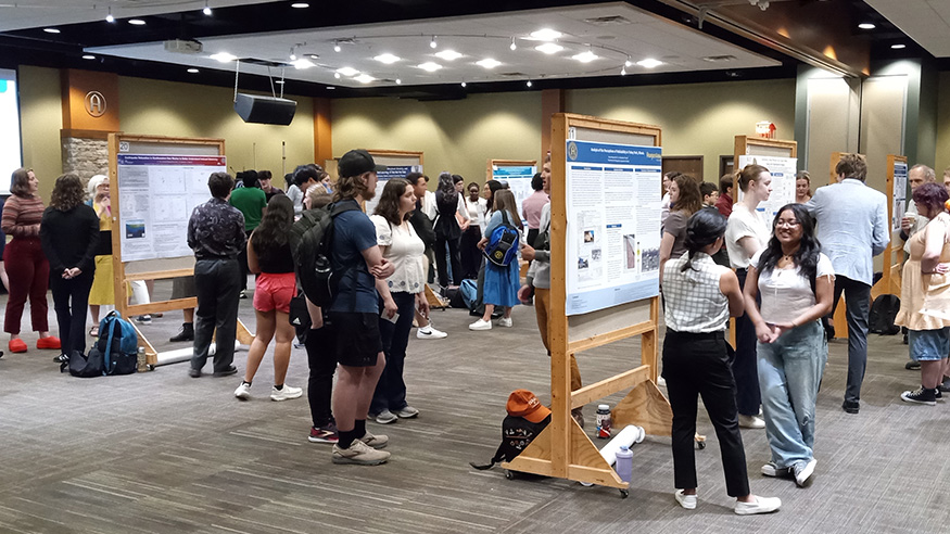 Poster presentations