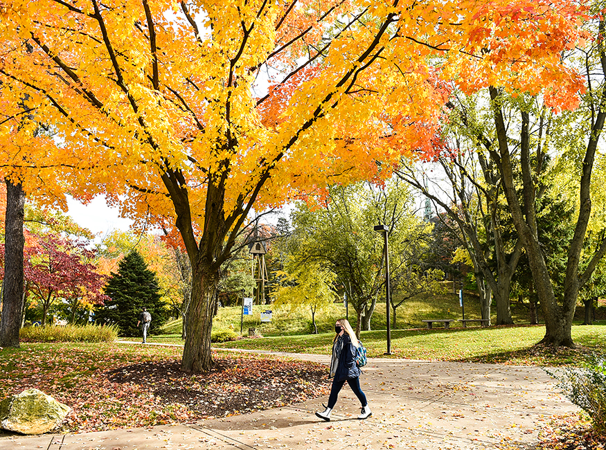 Fall campus