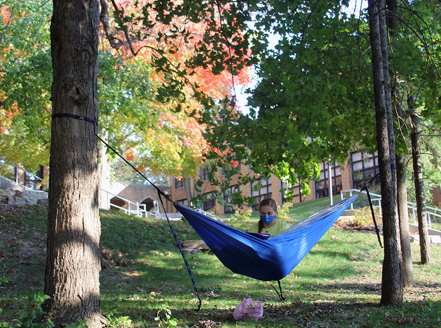 hammock