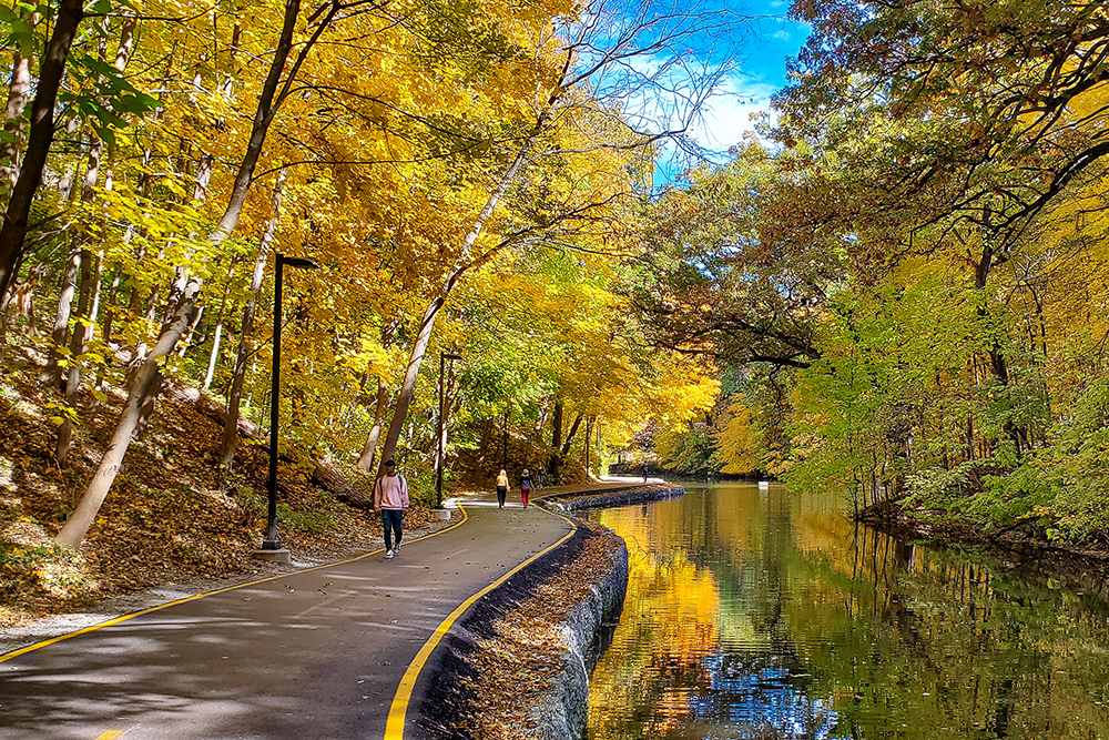 slough path