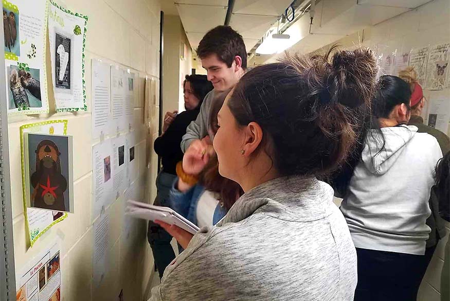 French 241 students