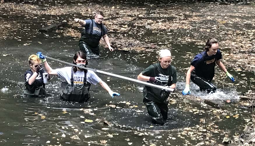 Students working in the Slough.