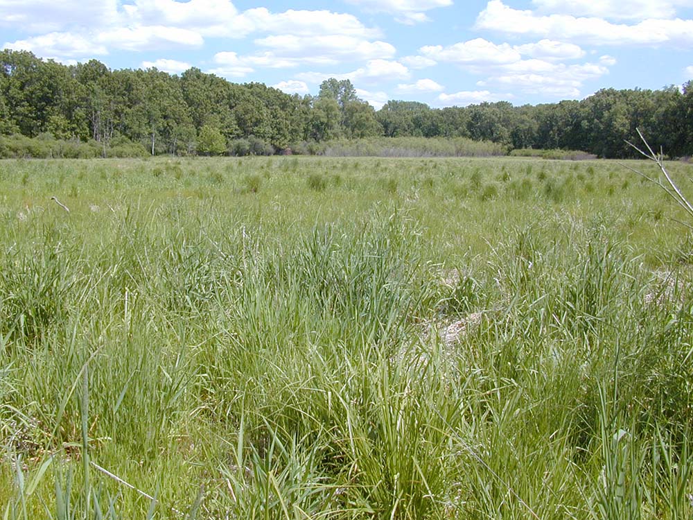 field station