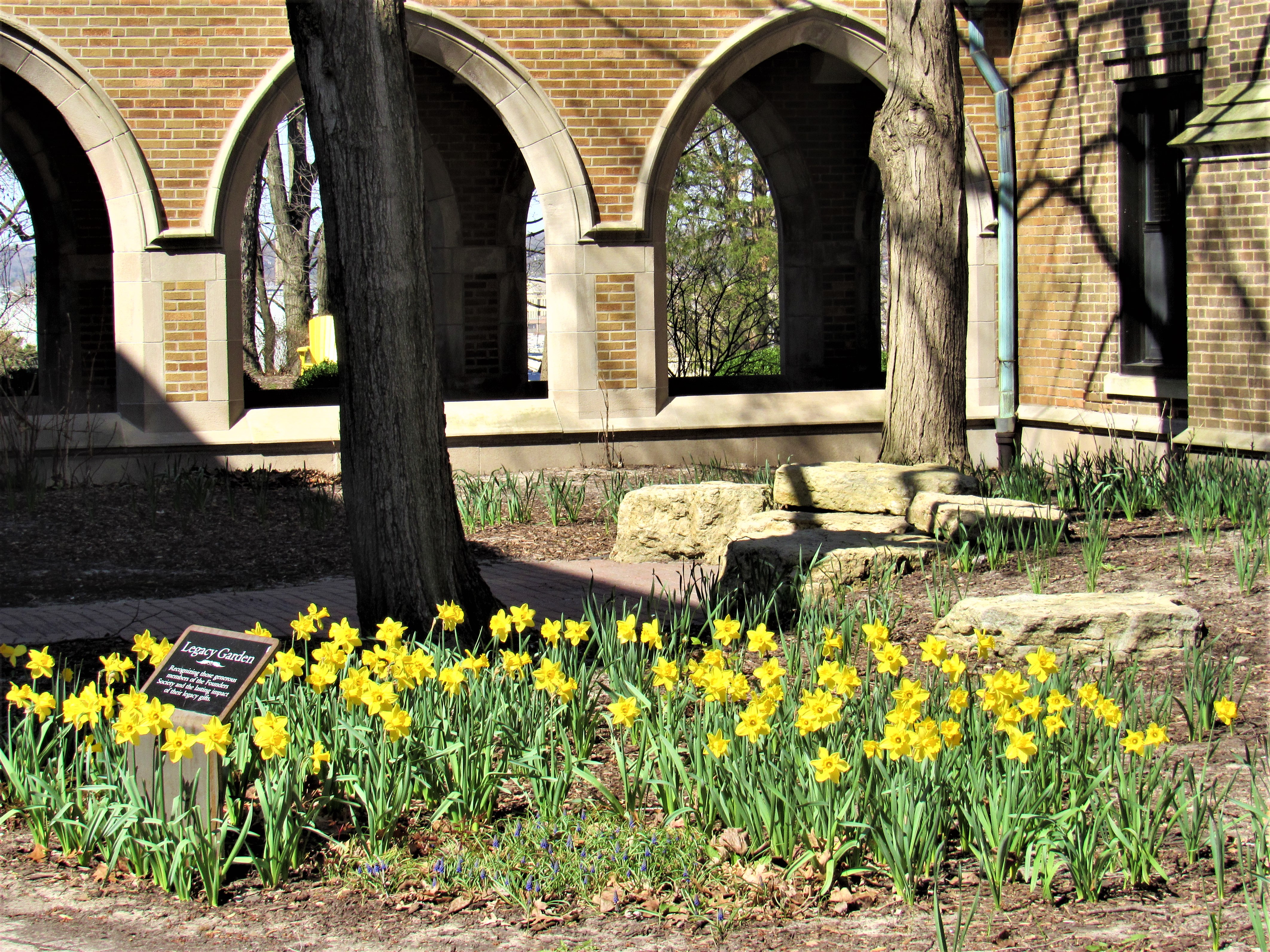 joy of spring