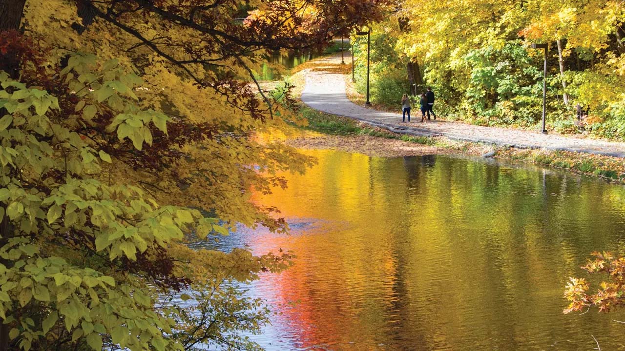 slough in autumn