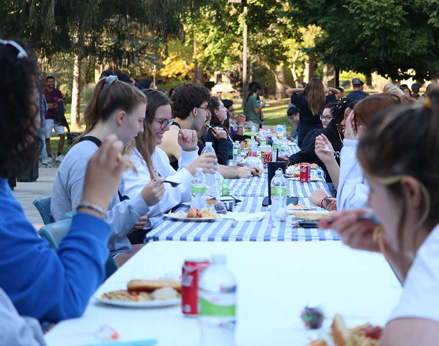 picnic