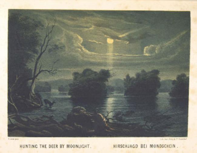 Das Illustrirte Mississippithal