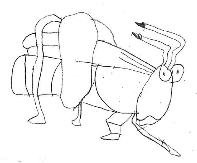 bug