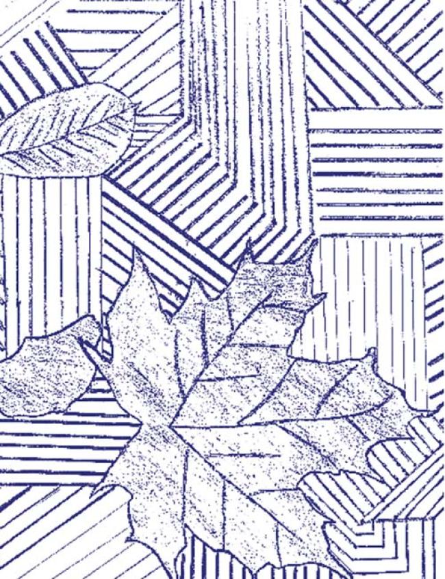 leaves