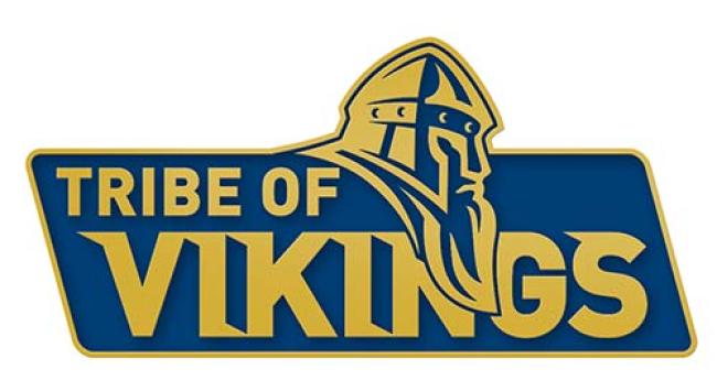 tribe of vikings pin