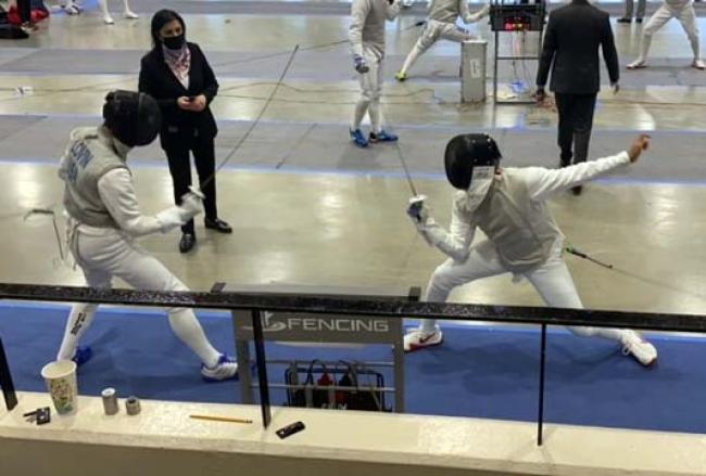 fencing