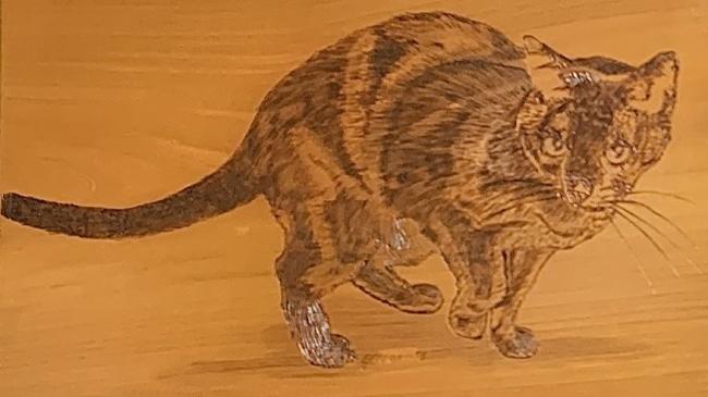 Woodburn of Terence by Jim Morgan.