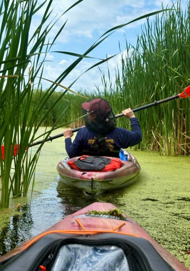 a student kayaking through mossy water