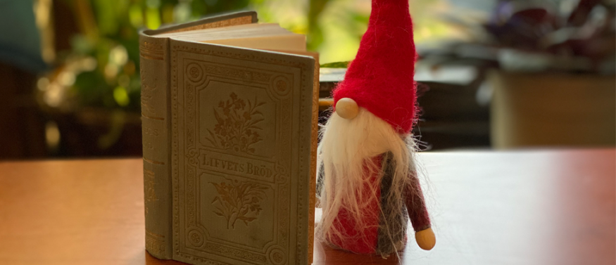 Gnome reading a book