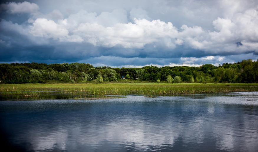 Green Wing Environmental Lab