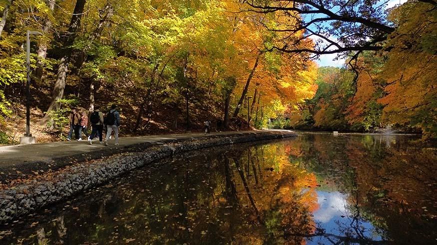 Augustana Slough