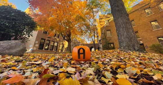 A pumpkin